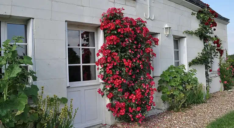 Holiday home in Cigogné