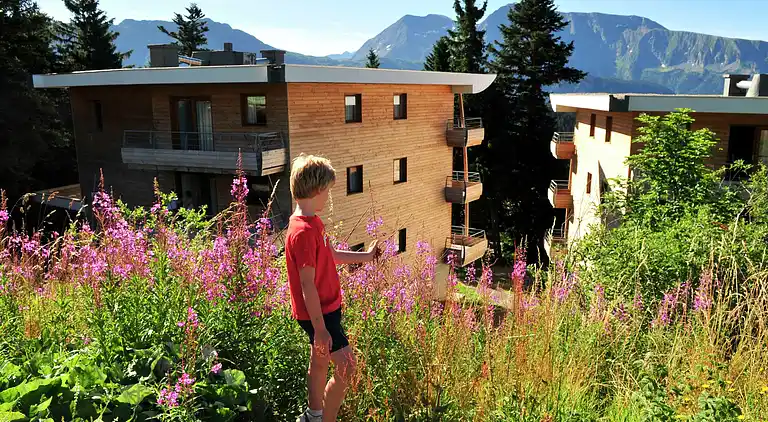 Ferielejlighed i Vaulnaveys-le-Haut