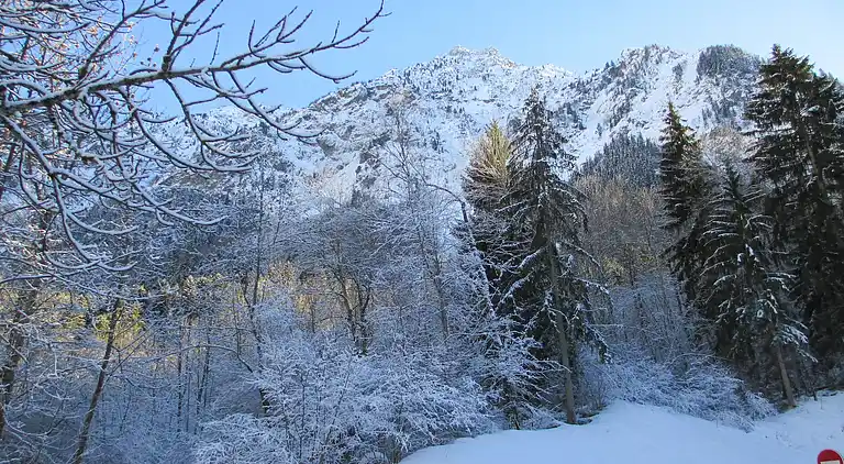 Cottage in Le Bourg-d'Oisans