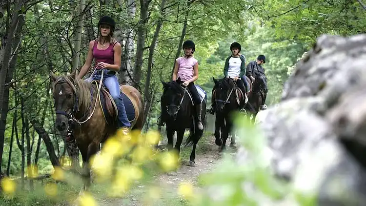 Ferielejlighed i Le Bourg-d'Oisans