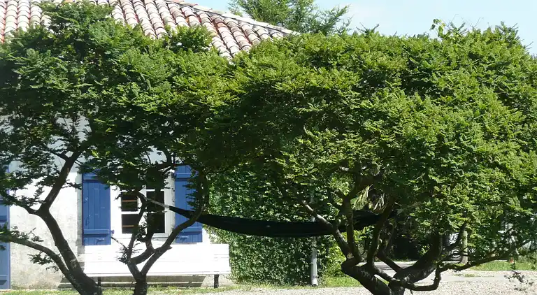 Holiday home in Saint-Martin-de-Seignanx