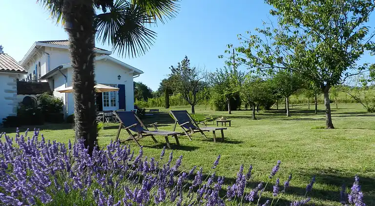 Holiday home in Saint-Martin-de-Seignanx