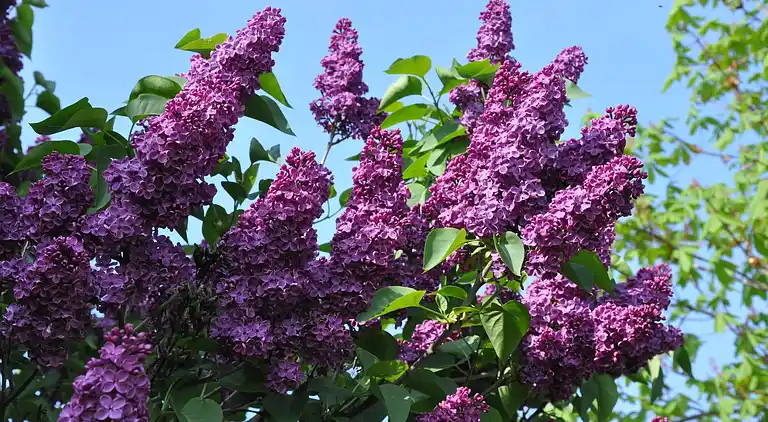 Holiday home in Montrichard