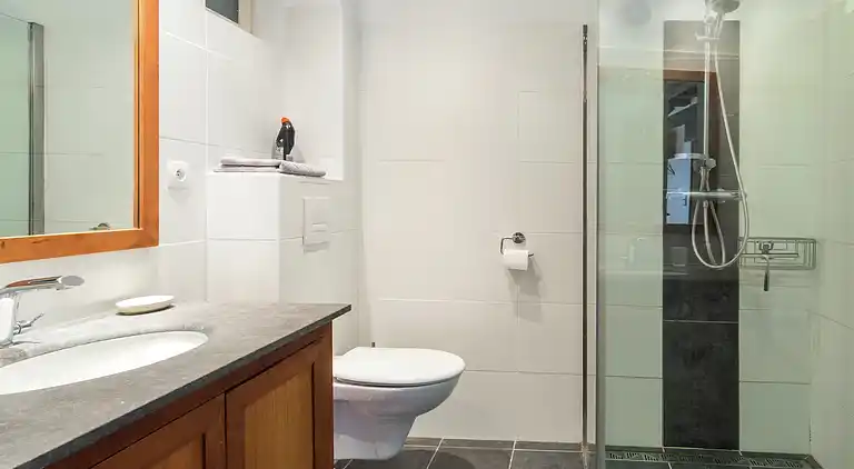 Holiday home in Montrichard