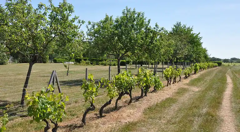 Holiday home in Montrichard