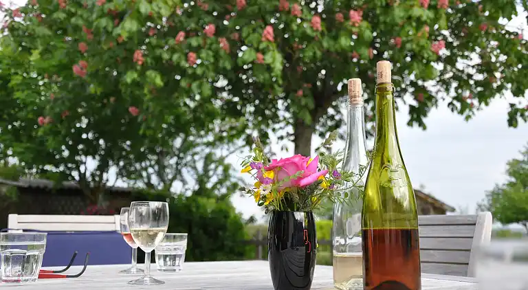 Holiday home in Montrichard