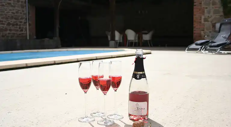 Castle in La Pacaudière