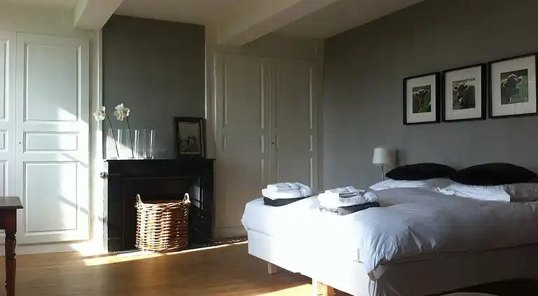 Castle in La Pacaudière