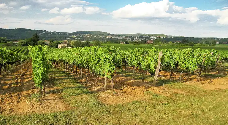Villa i Catus