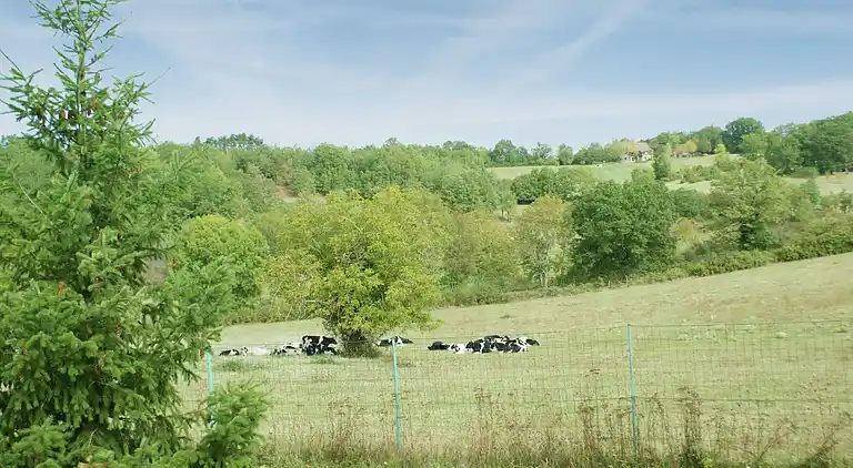 Holiday home in Catus