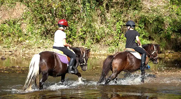 Holiday home in Souillac