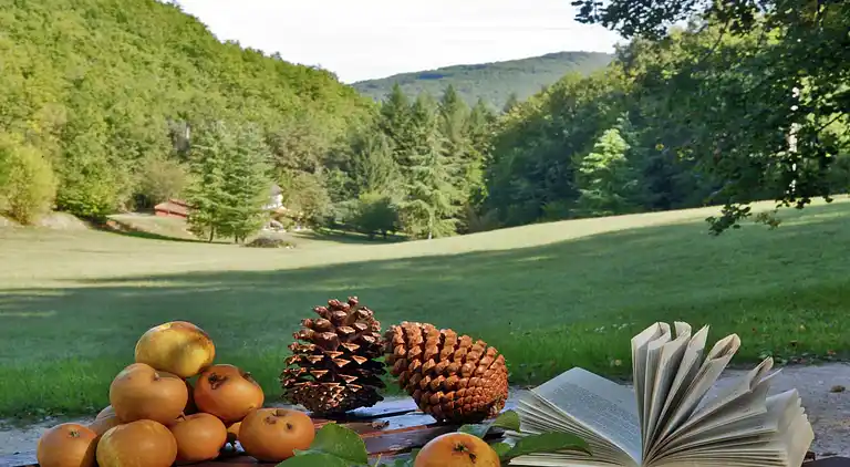 Feriebolig i Souillac