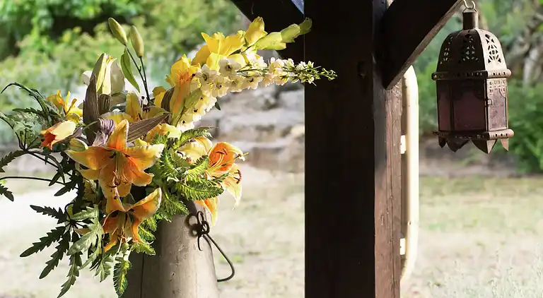 Holiday home in Saint-Cirq-Souillaguet