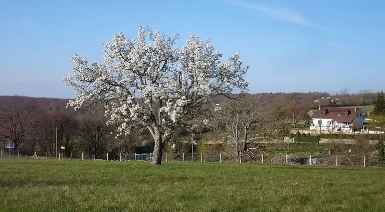 Holiday home in Payrac