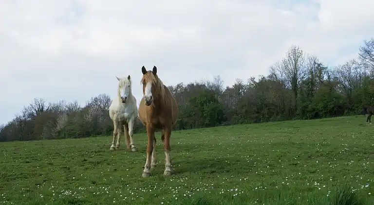 Holiday home in Gramat