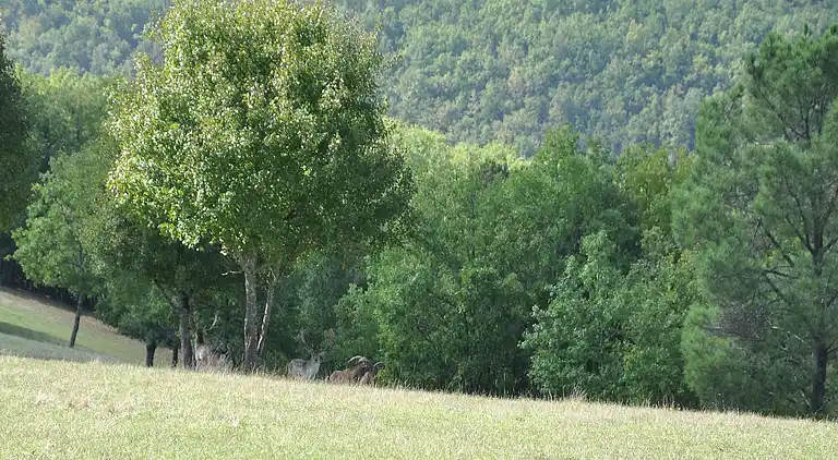 Villa in Puy-l'Évêque