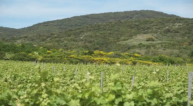 Villa in Saint-André-Capcèze