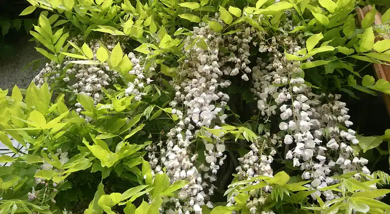 Ferienhaus in Gavray