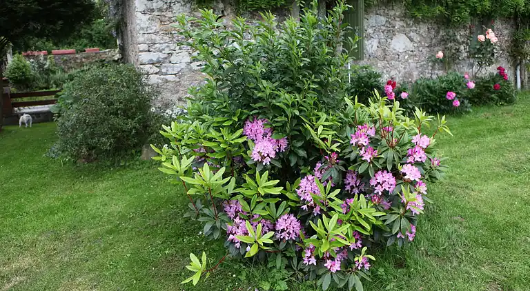 Sommerhus i Saint-Sauveur-Lendelin