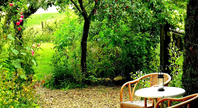 Cottage in Montier-en-Der