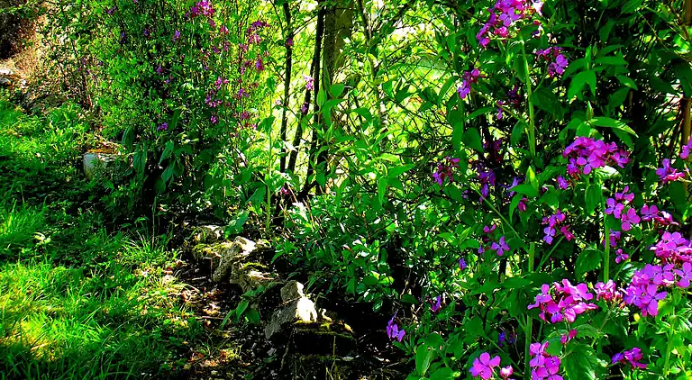 Cottage in Montier-en-Der