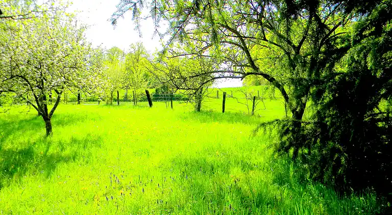 Cottage in Montier-en-Der