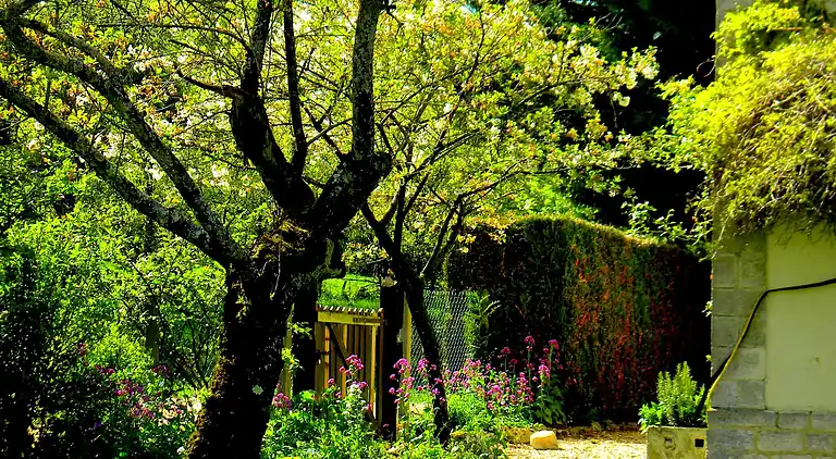 Cottage in Montier-en-Der