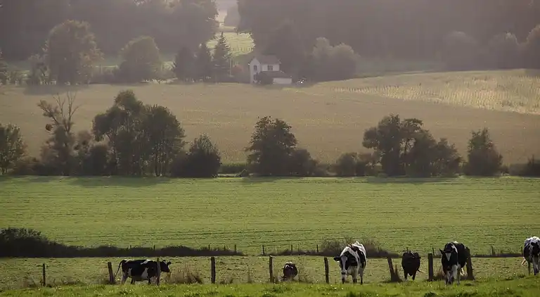 Cottage in Montier-en-Der