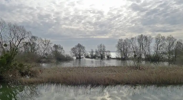 Cottage in Montier-en-Der