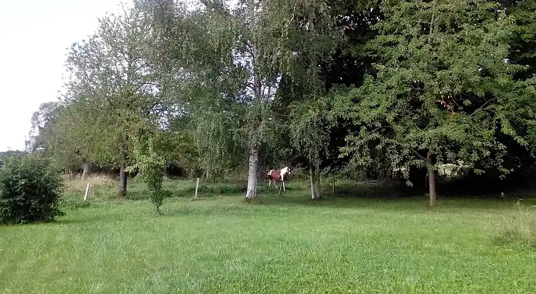 Holiday home in Droyes