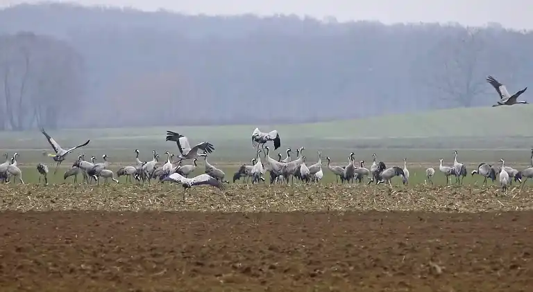 Holiday home in Droyes