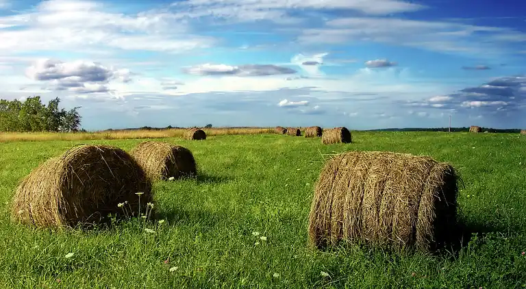 Maison de vacances en Marre