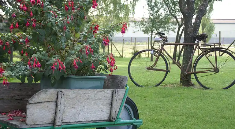Semesterbostad i Gondrecourt-le-Château