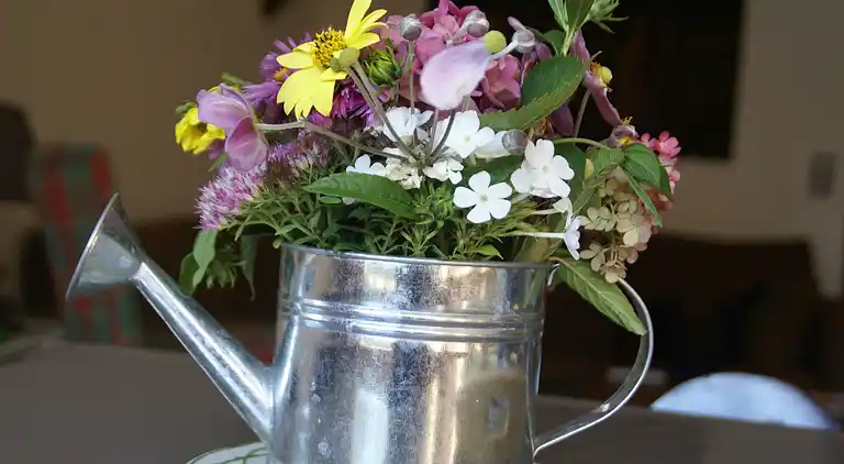 Maison de vacances au Laimont