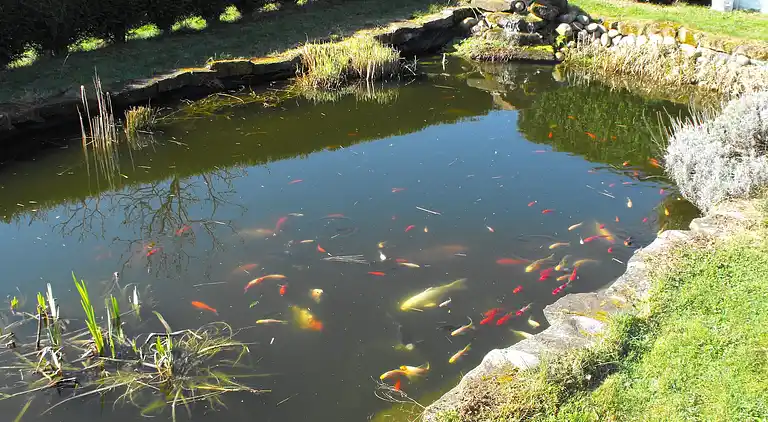 Feriebolig i Berling