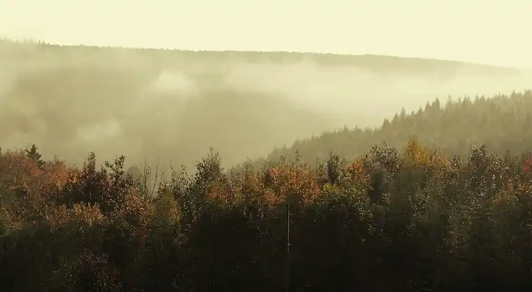 Feriebolig i Berling