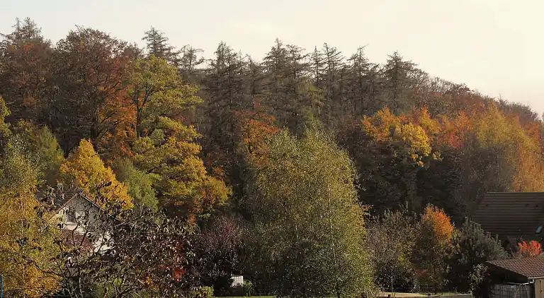 Feriebolig i Berling