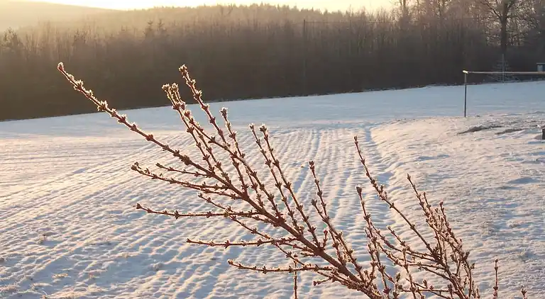 Feriebolig i Berling