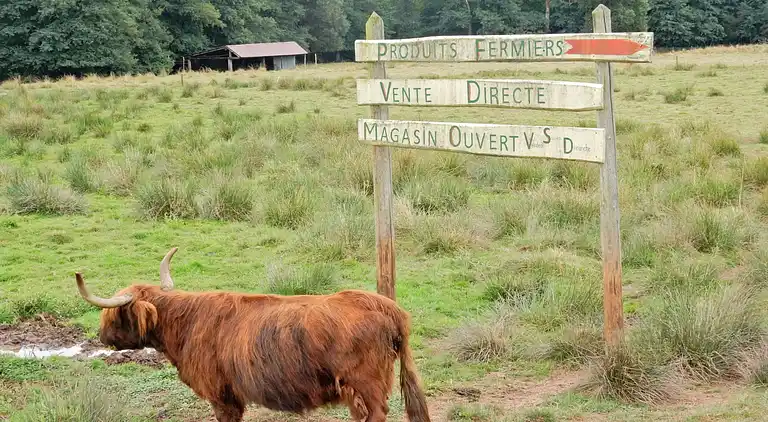 Feriebolig i Berling