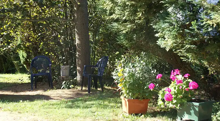 Sommerhus i Rohrbach-lès-Bitche