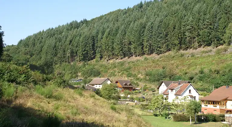 Sommerhus i Rohrbach-lès-Bitche