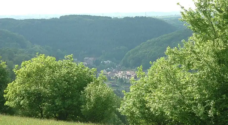 Sommerhus i Rohrbach-lès-Bitche