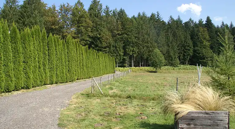 Casa de vacaciones en Abreschviller