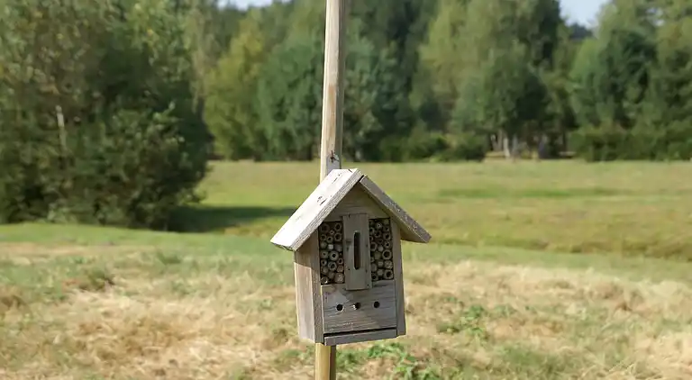 Casa de vacaciones en Abreschviller