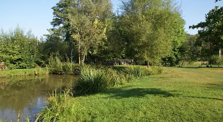 Sommerhus i Niderviller