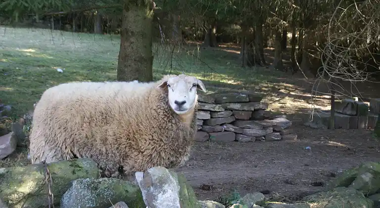 Casa de vacaciones en Haselbourg
