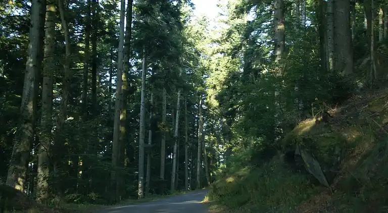 Casa de vacaciones en Haselbourg