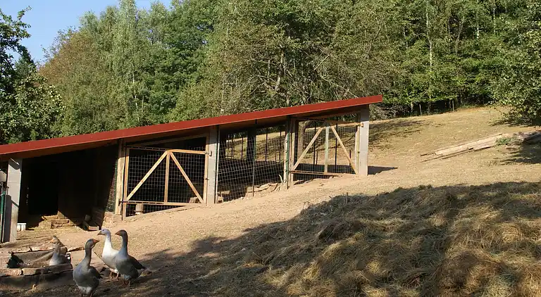 Casa de vacaciones en Haselbourg