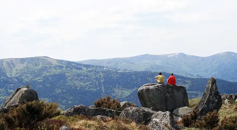 Cottage in Haselbourg
