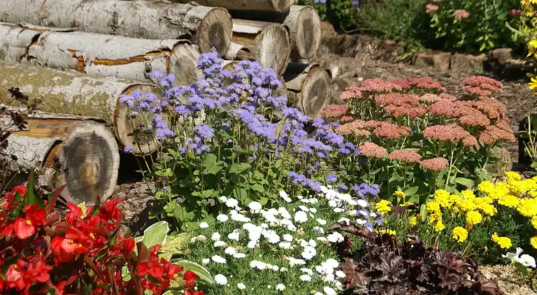 Holiday home in Hommert